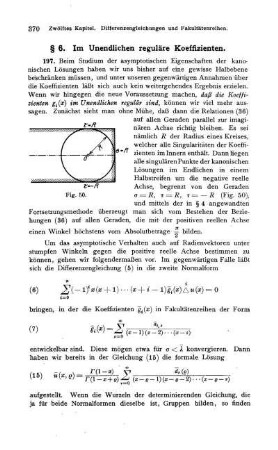 § 6. Im Unendlichen reguläre Koeffizienten.