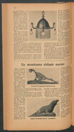 Un monstruo elefante marino