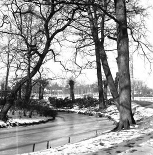 Bürgerpark: Bürgermeisterinsel: links vorn Trave: am Ufer Bäume: hinten Häuser: Winter