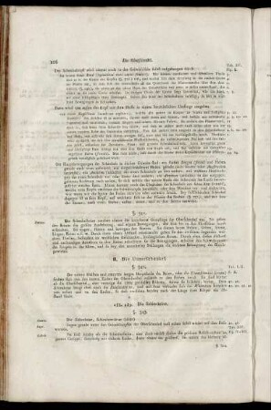 II. Die Unterschenkel.