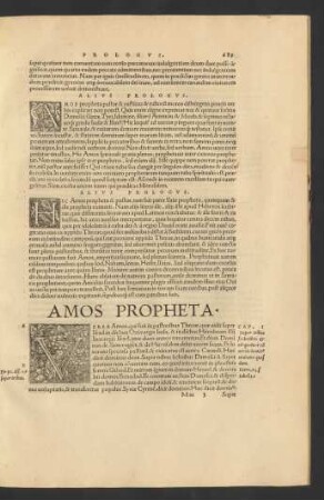 Amos Propheta.