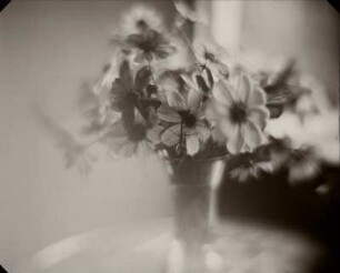 Ohne Titel
