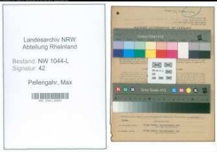 Entnazifizierung Max Pellengahr , geb. 28.07.1882 (Uhrmacher)