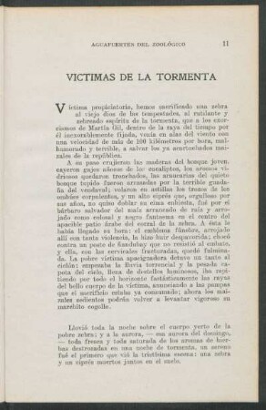 Victimas de la tormenta