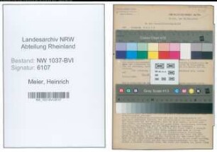 Entnazifizierung Heinrich Meier , geb. 06.10.1901 (Unternehmer)