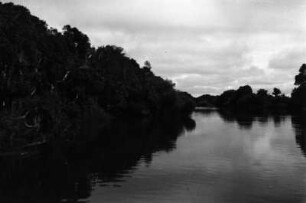 Der Kafue-Fluss : Blick auf den Kafue-Fluss und seine Ufervegetation.