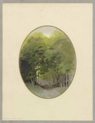 Der Tiefenbacher Pfad