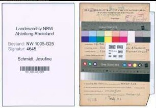 Entnazifizierung Josefine Schmidt , geb. 01.03.1900 (Kauffrau)