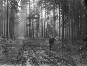 Alter Bauer mit Sense auf einem Waldweg