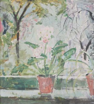 Primel am Fenster