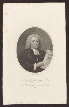 Dillenius, Johann Jacob