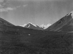Grasland : Von schneebedeckten Gipfeln umgebenes Grasland im Tian Shan Hochgebirge