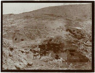 w. kelt bei Mühle [wadi kelt]