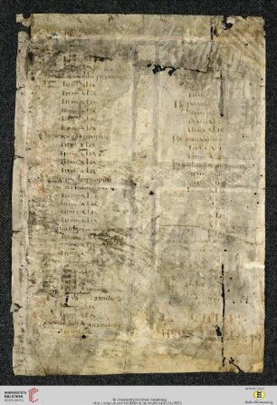 Alanus de Farfa: Homiliarium (Fragment)