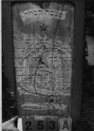 Grabstein 253 (Index: 100093460) Maße HxBxT: 215x72x36 cm Symbolik: Verzierungen: Grabstein 253A