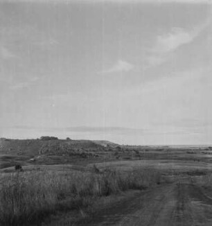 Landschaft : Landschaft am Ufer des Victoriasee nahe Bukoba