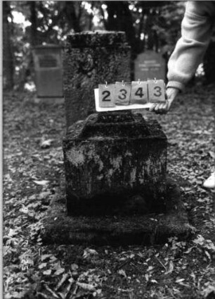 Grabstein 2343