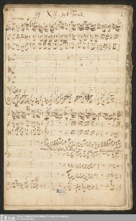 Ms. Ff. Mus. 856 - XII. post Trinit.
