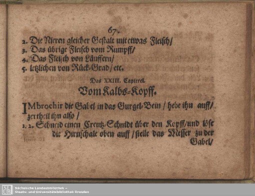 Das XXIII. Capitel. Vom Kalbs-Kopff