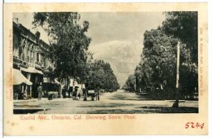 Ontario. Euclid Ave., Ontario, Cal. Showing Snow Peak