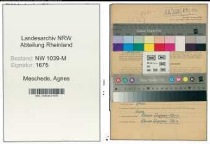 Entnazifizierung Agnes Meschede , geb. 18.08.1899 (Schneiderin)
