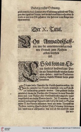 Titul X. Von Anwaltschaften/wer die annemen möge ...
