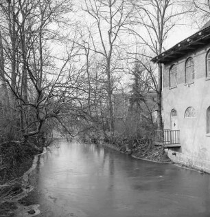 Trave: Stadtarm: Blick von der Fußgängerbrücke: rechts ehemaliges Mühlengebäude: hinten Bäume und Sträucher