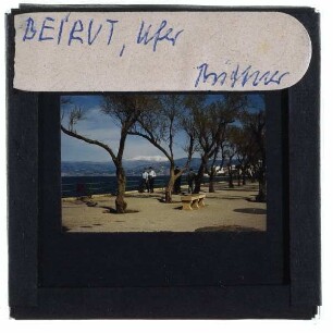 Beirut, Strand