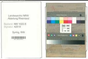 Entnazifizierung Willi Syring , geb. 05.03.1909 ()