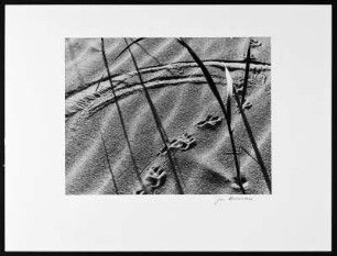 Sønderho. Spuren am Strand