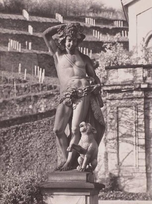 Radebeul, Wackerbarths Ruh', Statue des Bacchus am Belvedere