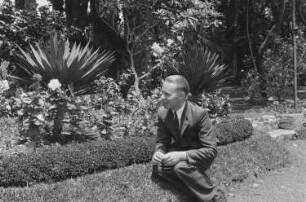 Reisefotos Madeira. Der Bordfotograf Franz Grasser an einer Staudenrabatte (vielleicht in einem botanischen Garten)