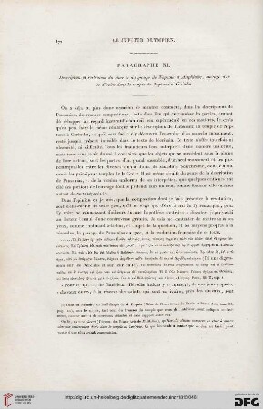 Paragraphe XI