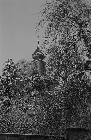 Blick aus einem Park auf den Turm des Gohliser Schlösschens