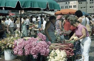Freiburg i. Br.: Münsterplatz: Marktszenen