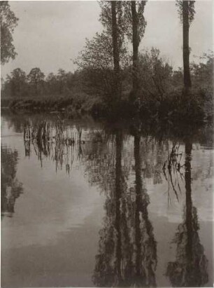 Fluss mit Baumspiegelung