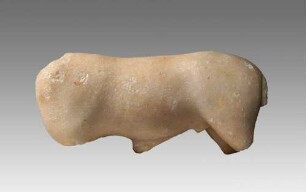 Torsos eines Pferdes