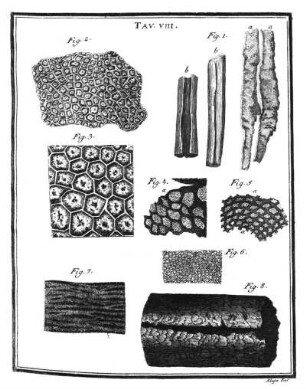Tav. VIII.