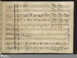 Cavatina: A voi signor chiediamo