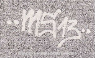 ms 13