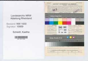 Entnazifizierung Kaethe Scheidt, geb. 16.11.1899 (Vertreterin)