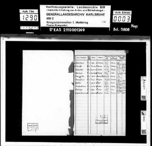 Pionier-Kompanie 339