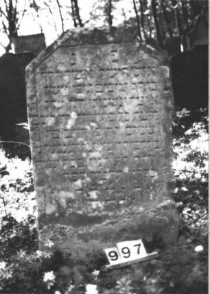 Grabstein 997 (Index: 99899561) Material: Sandstein Zustand: angewittert Maße HxBxT: 108x61x9 cm Beschreibung: Stele mit oben abgeflachtem Dreiecksabschluss, auf Oberrahmen Blüte, darunter Levitenkanne Symbolik: Levitenkanne: Grabstein 997