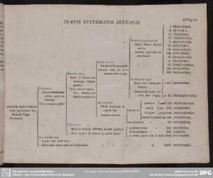 Clavis Systematis Sexualis