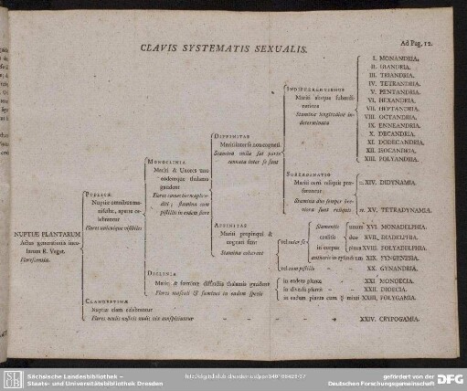 Clavis Systematis Sexualis