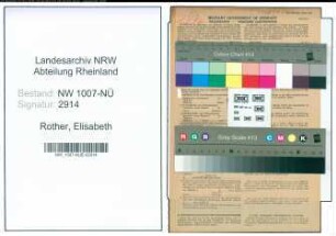 Entnazifizierung Elisabeth Rother , geb. 02.02.1901 (Gastwirtin)