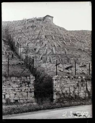 Weinberge 1934