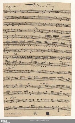 Violino 1mo