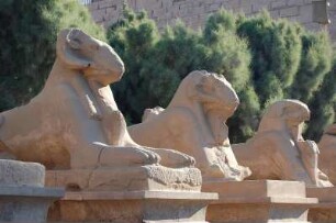 Luxor - Im Karnak Tempel : Amun-Tempel in Karnak, Luxor, Allee widderköpfiger Sphingen am Eingang, aufgenommen 2006