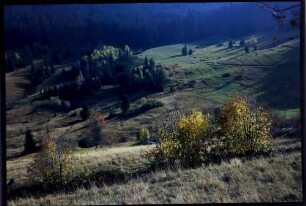 Aeule: herbstliche Schwarzwaldlandschaft